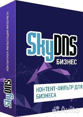 Skydns Бизнес. 45 лицензий на 1 год