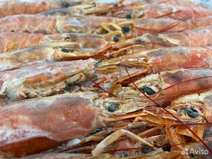Лангустины L1 крупный. Улов 2023г. 2 кг