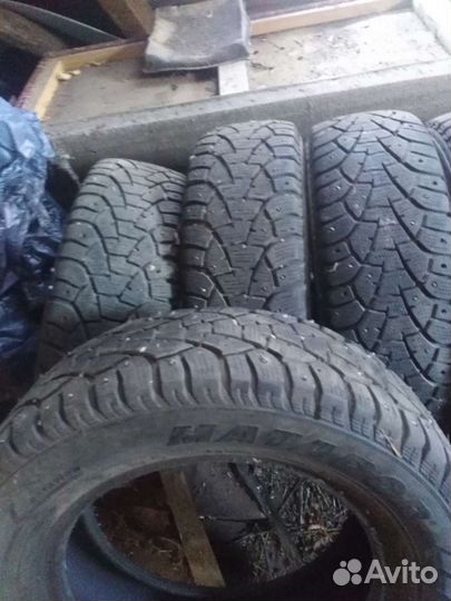 Matador MP 51 Sibir 2 195/65 R15