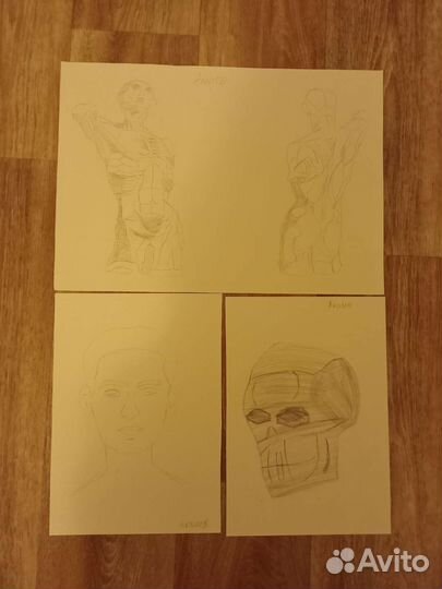 Готовые натюрморты, анатомия, перспектива