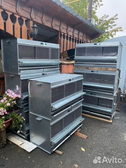 Брудер для цыплят