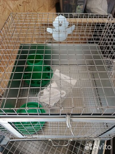 Брудер для цыплят