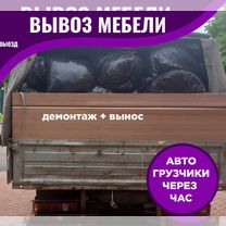 Вывоз мусора Ford Transit 12 куб