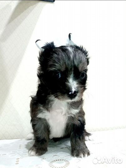 Ну очень красивый мальчик