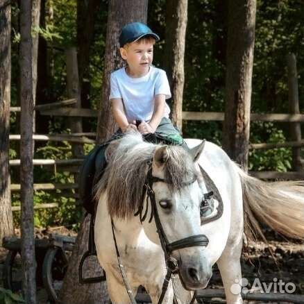 Конные прогулки