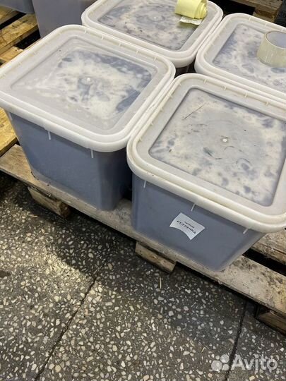 Эспарцетовый мёд оптом свежая качка