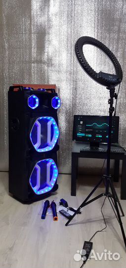 Мега колонка Crowns Диджейская 1000Вт 21кг Блютуз