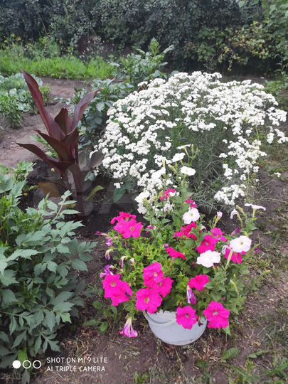 Дом 56 м² на участке 10 сот.