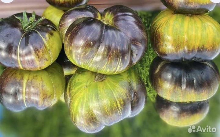 Семена томатов редчайших сортов