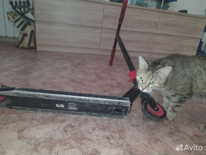 Трюковой самокат