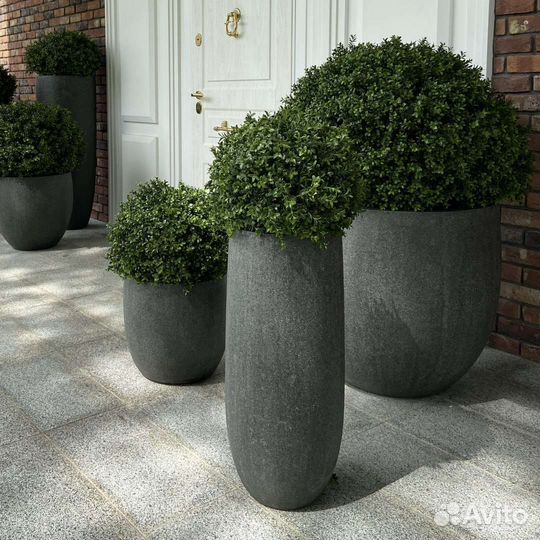 Кашпо, вазы с растениями и без, от
