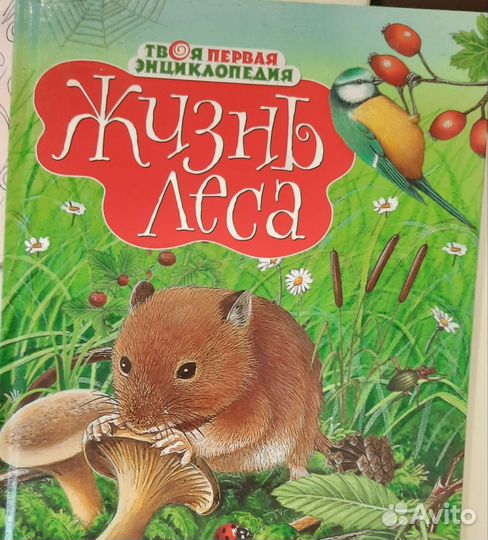 Детские энциклопедии махаон