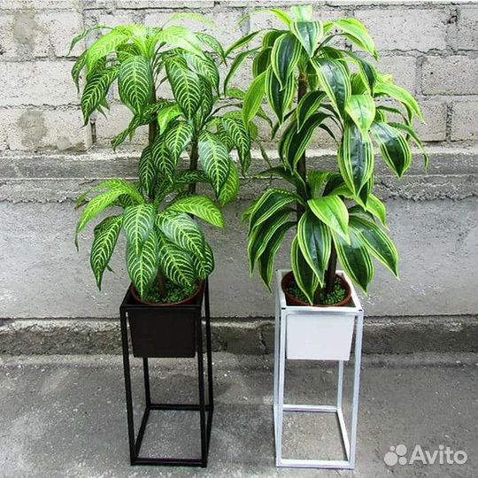 Драцены и финиковая пальма (искусственные)