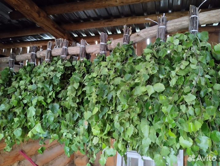 Веники дубовые и берёзовые