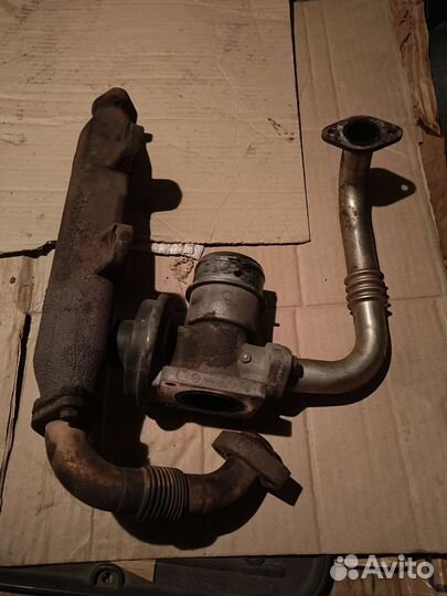 Егр Санг ssangyong Кайрон