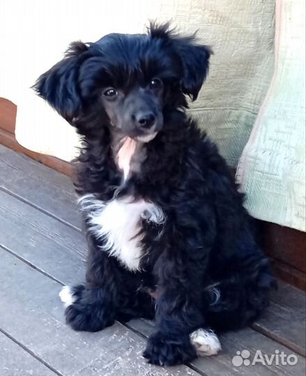 Пуховый мальчик китайчик