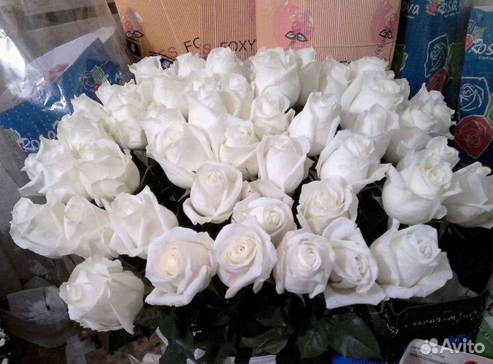 Высокие Высокие розы Гигантские розы Букеты Достав