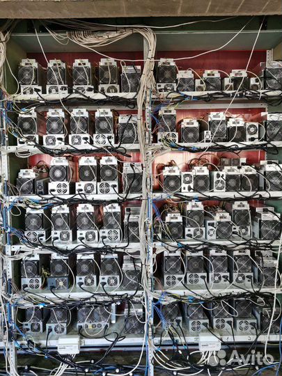 Размещение риг, асиков, майнинг отель, датацентр