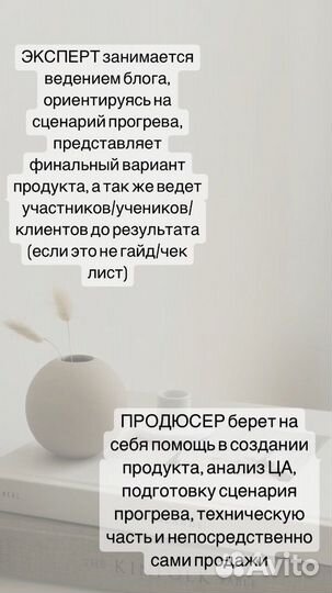 Продюсер онлайн курсов / онлайн школ