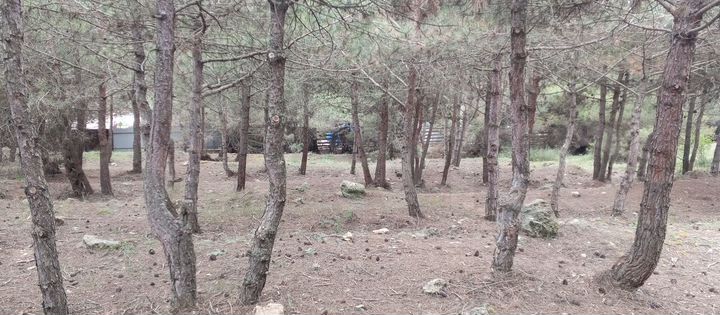 Участок 9,2 сот. (ИЖС)