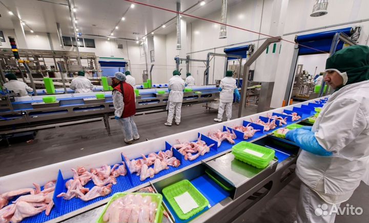 Упаковщик птицы вахта Нижний Новгород