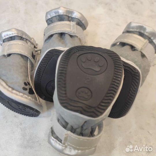 Ботинки для маленьких собак