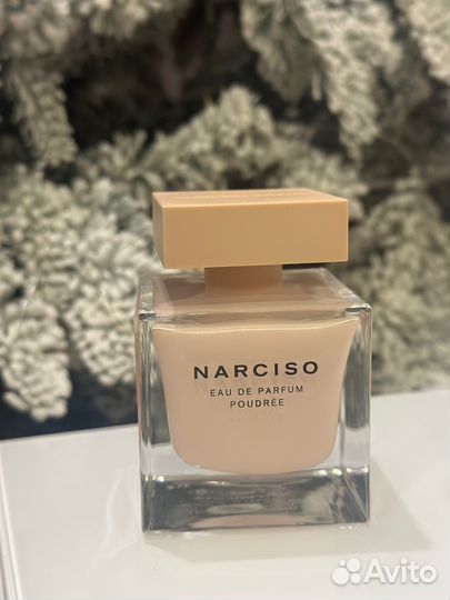 Narciso Rodriguez Poudree