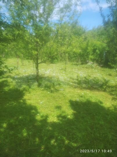 Участок 4,6 сот. (СНТ, ДНП)