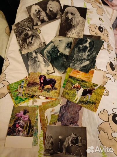 Открытки СССР