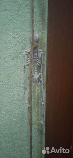 Скелетики на верёвочке