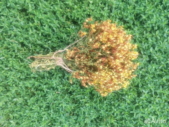 Душица, зверобой, клевер