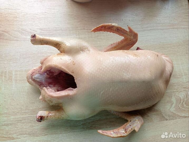 Мясо домашней птицы-броллер, утка