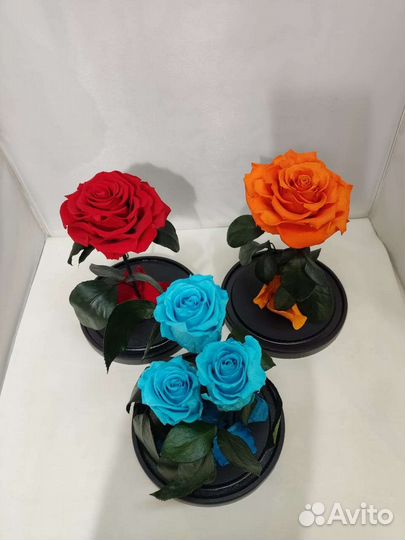 Роза в колбе оптом