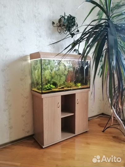 Аквариум