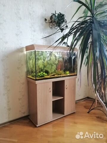 Аквариум