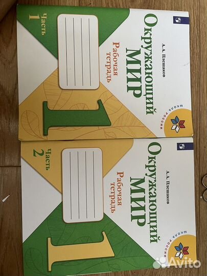 Рабочая тетрадь Окружающий мир Плешакова 1 класс