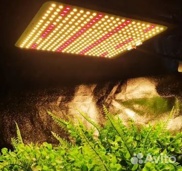 Фитолампа quantum board полный спектр 240 Вт