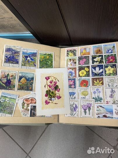 Альбом с марками