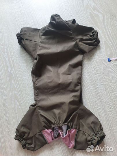 Одежда для собак