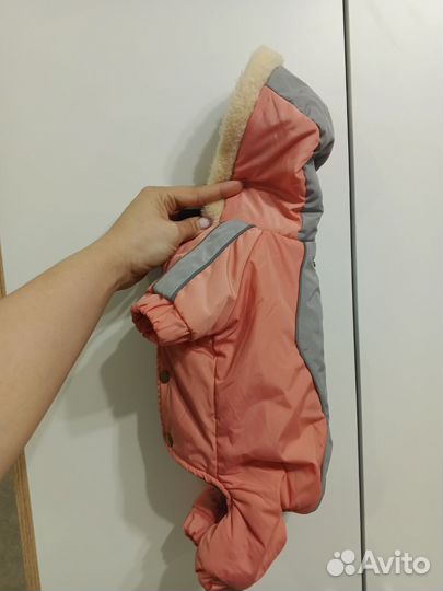 Одежда для средних собак