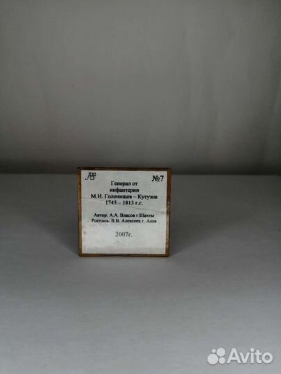 Светлейший князь Голенищев-Кутузов