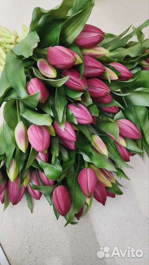 Тюльпаны силиконовые