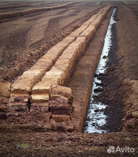 Торф оптом с доставкой