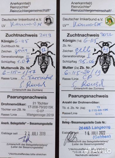 Пчелопакеты карника