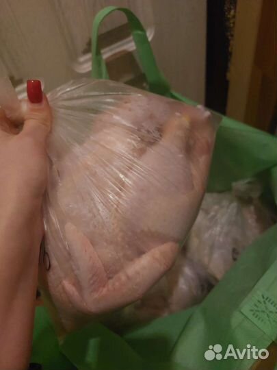 Яйцо домашнее. Тушки птиц