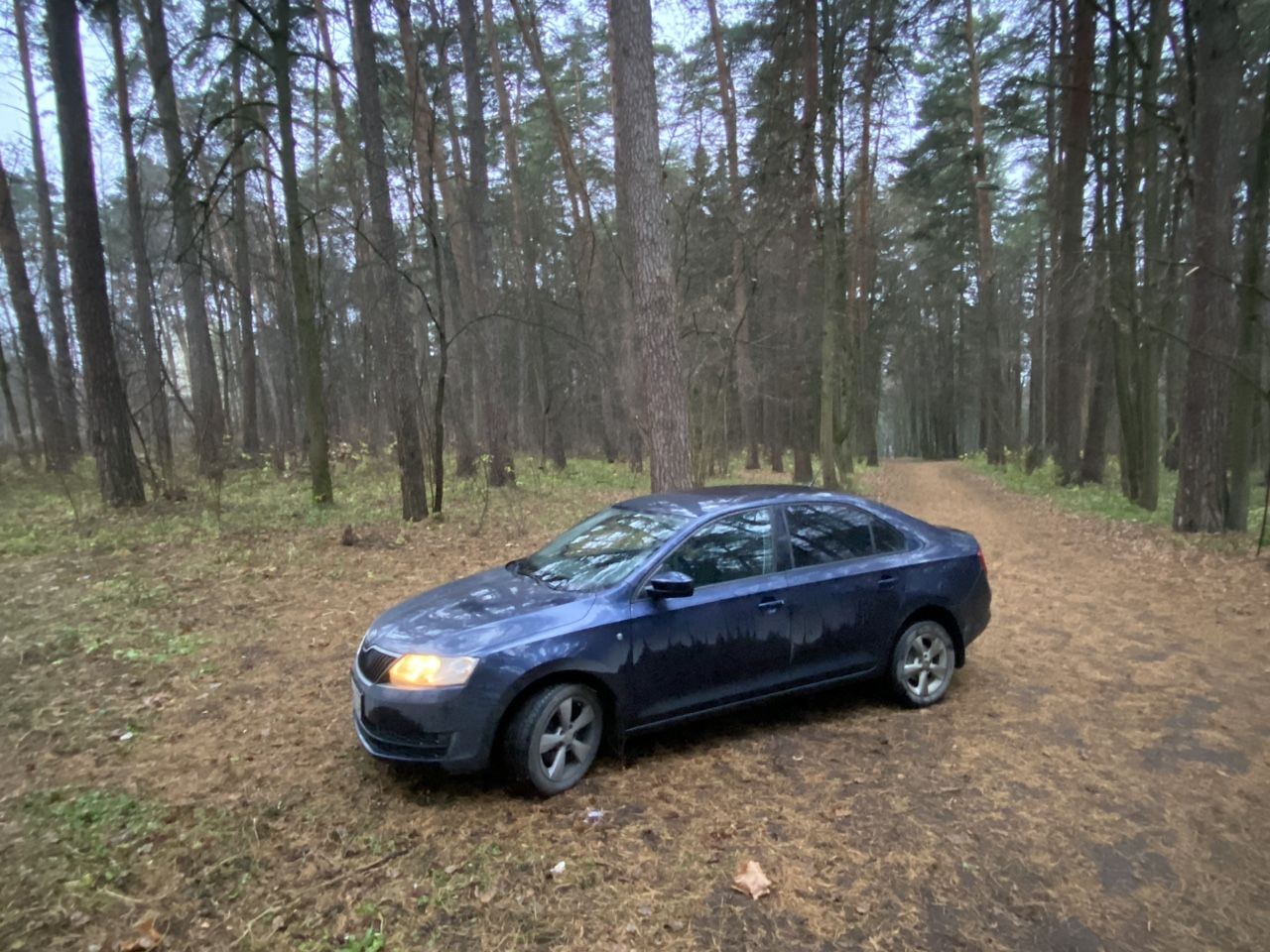 Skoda Rapid: фото владельца