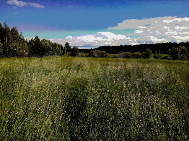 Земля в кирове. Ермолинцы Кировская область. Улица зари Ата село Бурмакино Кировская область.