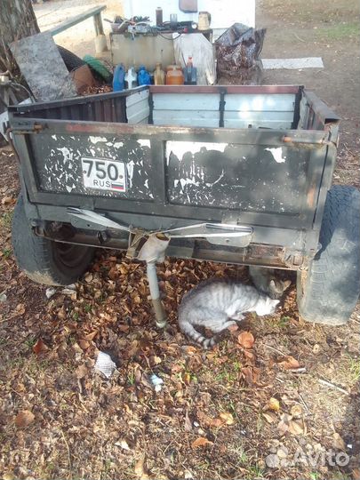 Самодельный мотоблок, трактор