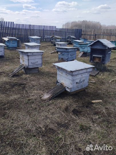 Ульи для пчел