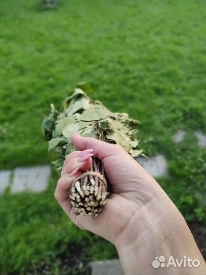 Березовые веники